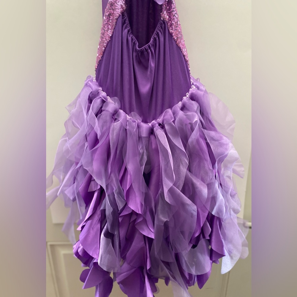 Purple Sequin and Tulle Fancy Dress/Costume - Picture 2 of 9